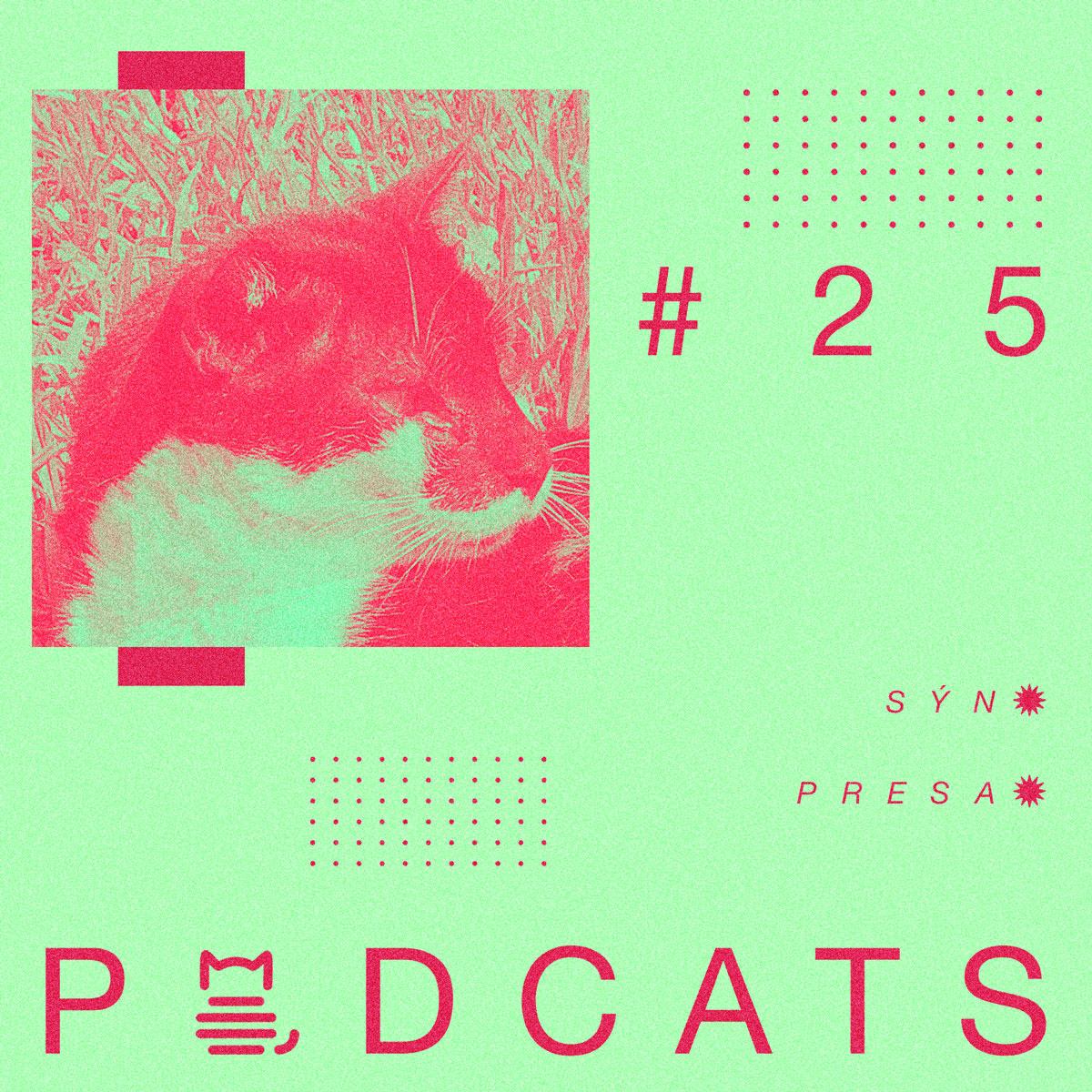 Podcats XL #25: SÝN + PRESA