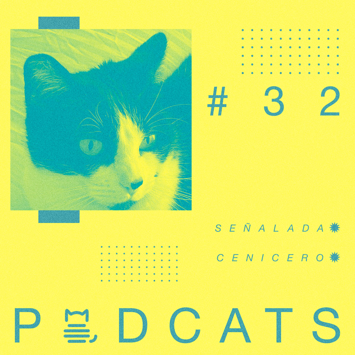 podcats_xl_32_senalada_cenicero_1200x1200px