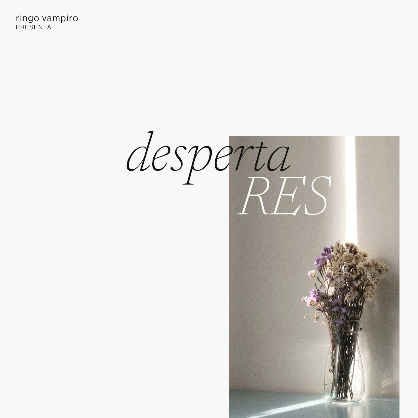 despertares