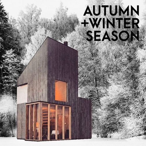 autumn-winter-session-curtis-inthekitchen-catssette-1200x1200