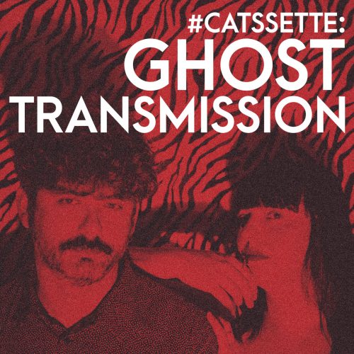 catssette-ghost-transmission-cover