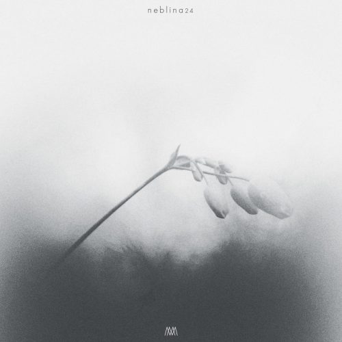 neblina-24-cover